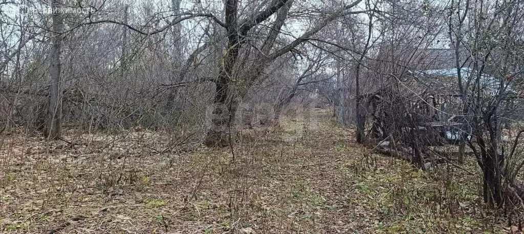 Участок в Кимовский район, сельское поселение Епифанское, деревня ... - Фото 2