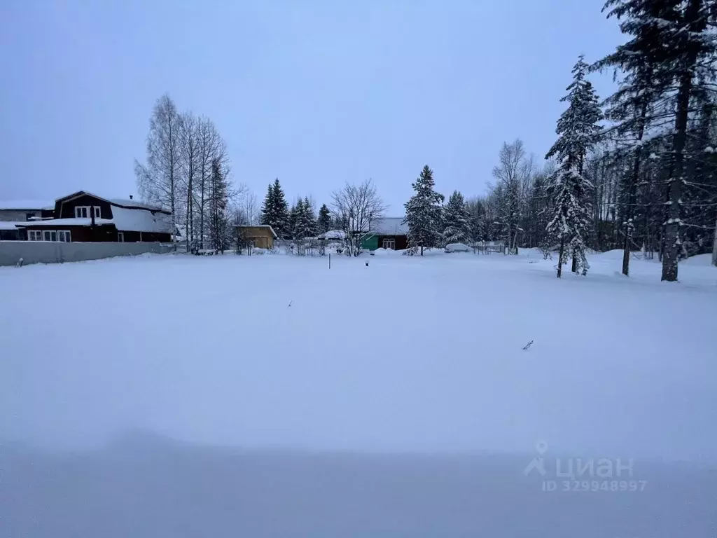 Участок в Пермский край, Пермь ул. Бродовское Кольцо, 193 (5.0 сот.) - Фото 2