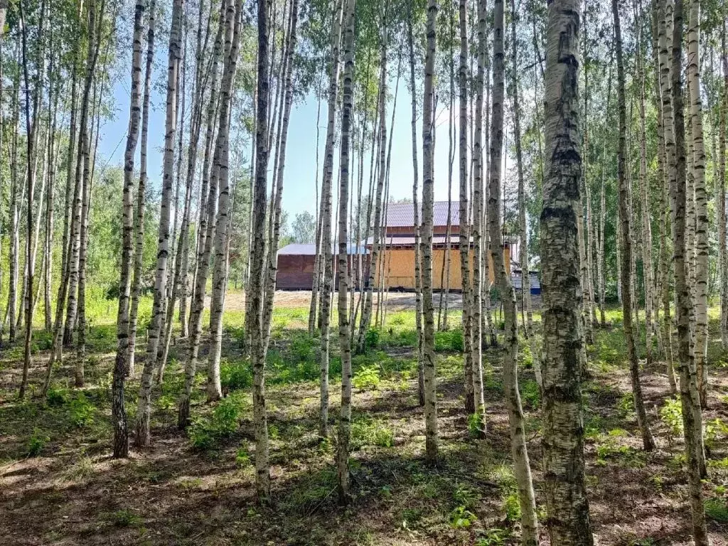 Дом в Нижегородская область, Городецкий муниципальный округ, д. ... - Фото 1