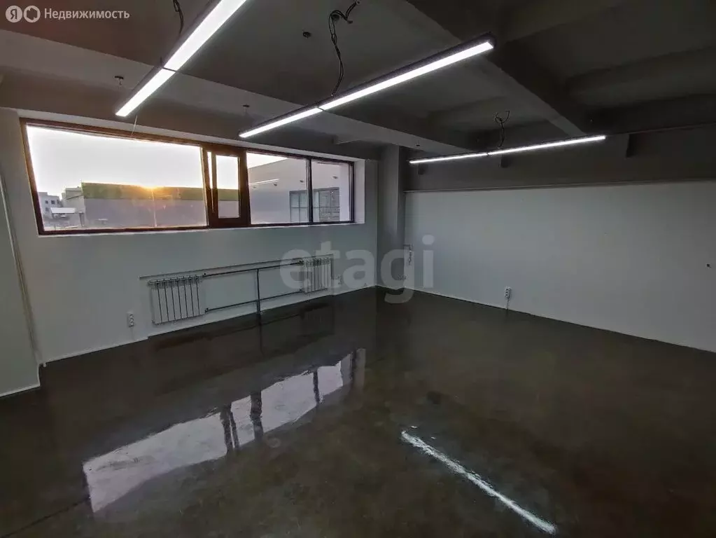 Офис (31.9 м) - Фото 2