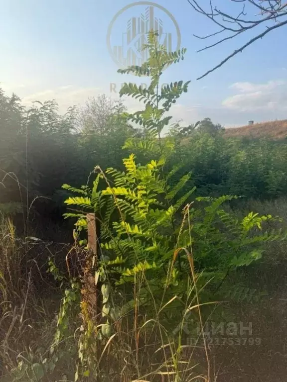 Участок в Ставропольский край, Минеральные Воды Кисловодская ул. (5.0 ... - Фото 2