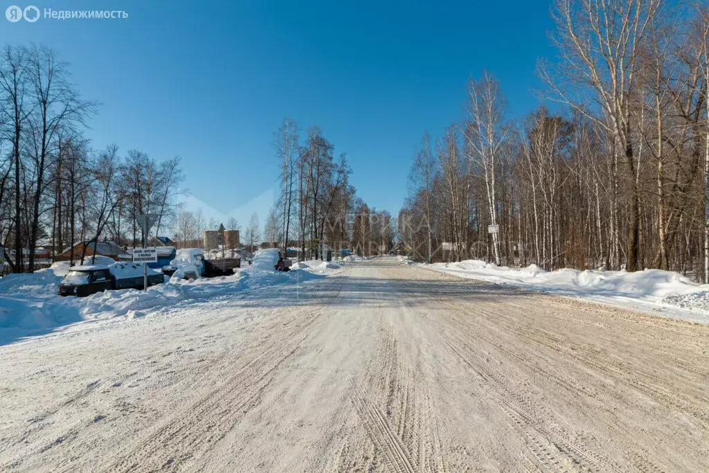 Участок в Тюменская область, Нижнетавдинский муниципальный округ, ... - Фото 1