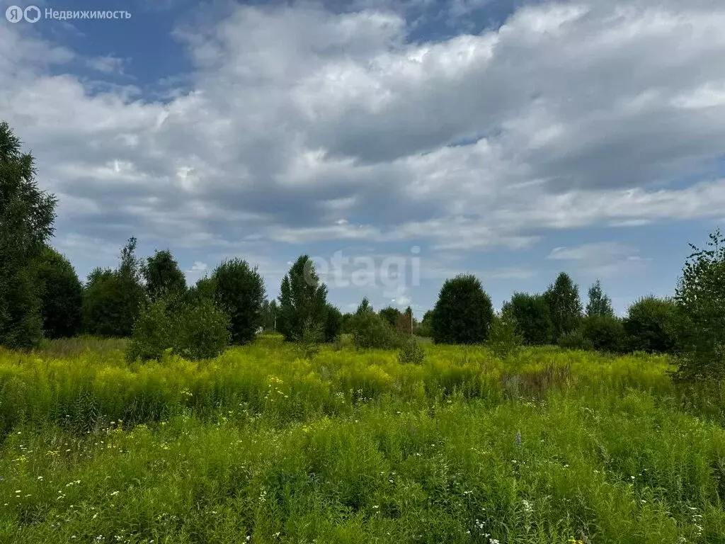 Участок в Нижегородская область, Городецкий муниципальный округ, ... - Фото 0