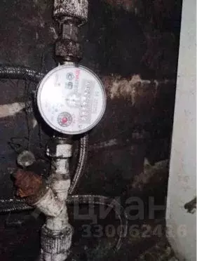 Помещение свободного назначения в Новосибирская область, Коченево рп ... - Фото 2