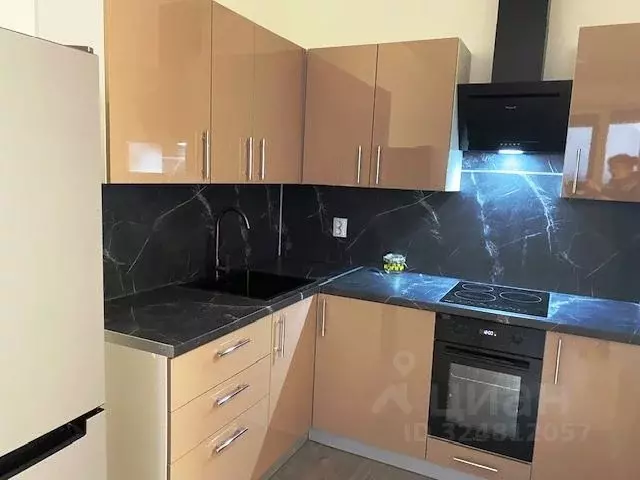 1-к кв. Санкт-Петербург пос. Парголово, дор. Михайловская, 6 (34.8 м) - Фото 1