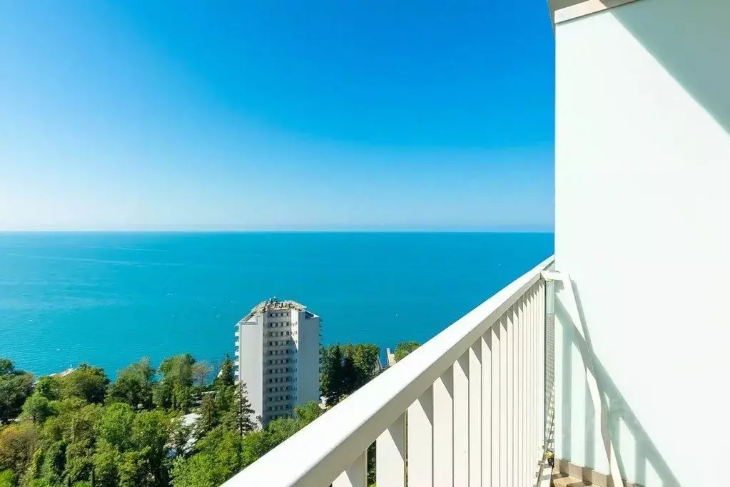 Студия Краснодарский край, Сочи Курортный просп., 100 (49.0 м) - Фото 1