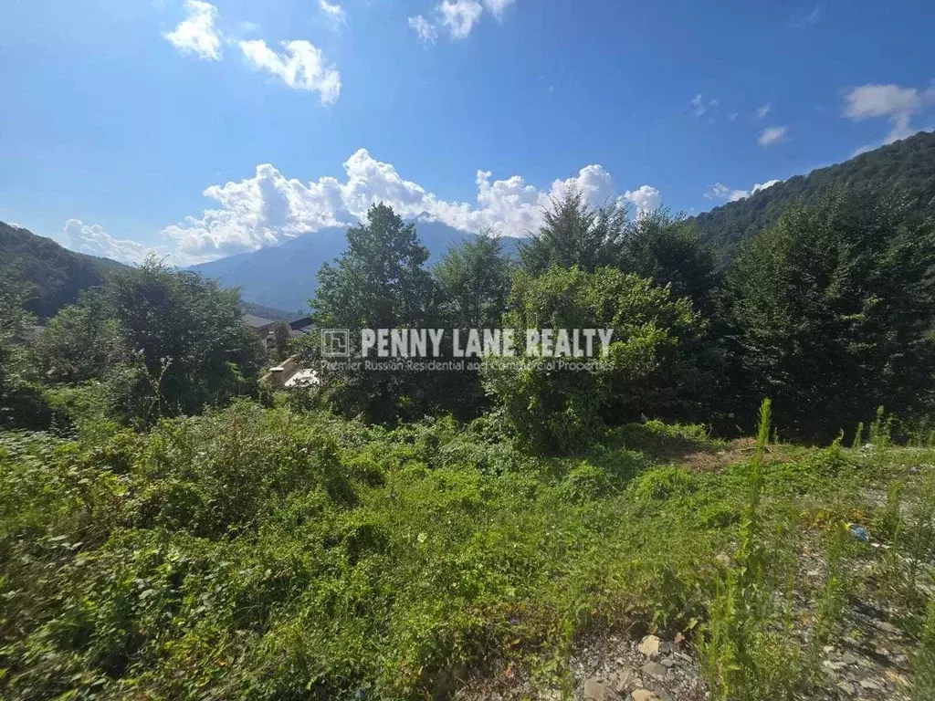 Участок в Краснодарский край, Сочи Красная Поляна пгт, ул. Ачишховская ... - Фото 0