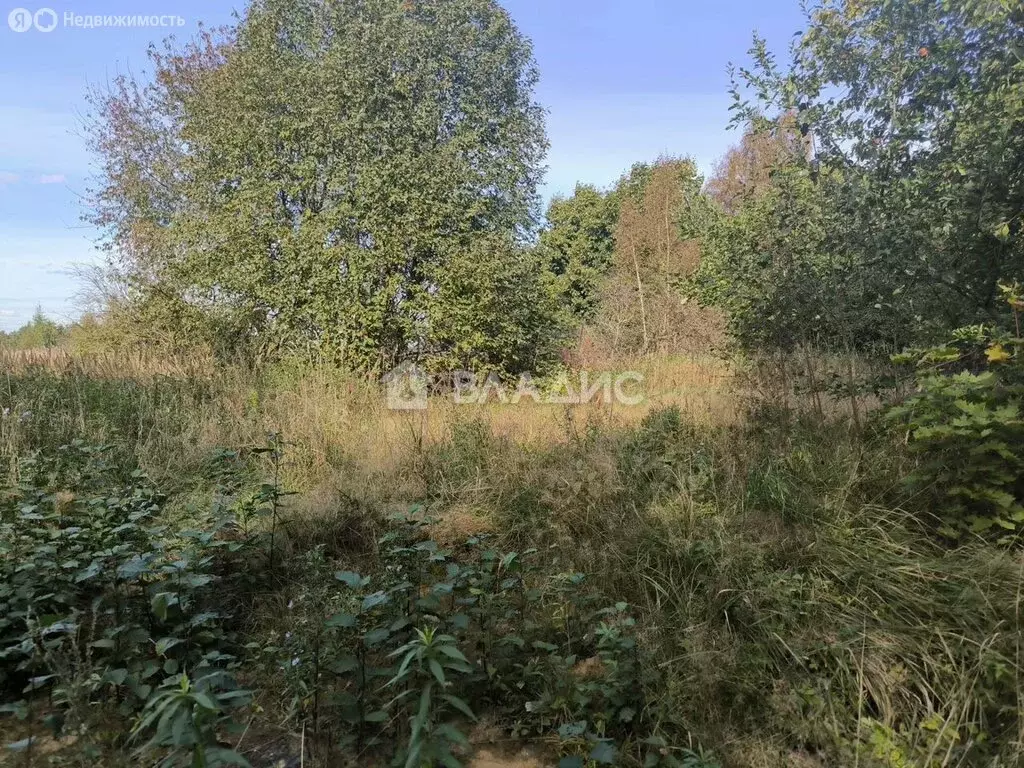 Участок в Савочкино, Центральная улица (6 м) - Фото 0