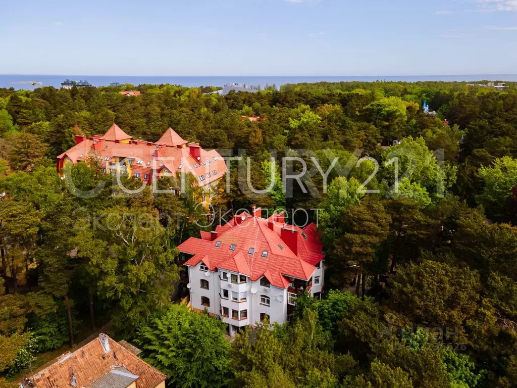 3-к кв. Калининградская область, Светлогорск ул. 8 Марта, 5 (96.0 м) - Фото 1