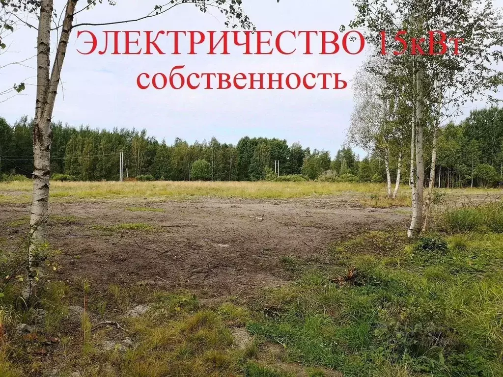 Участок в Ленинградская область, Выборгский район, Советское городское ... - Фото 1