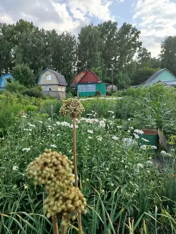 Дача 30 м на участке 5,4 сот. - Фото 1
