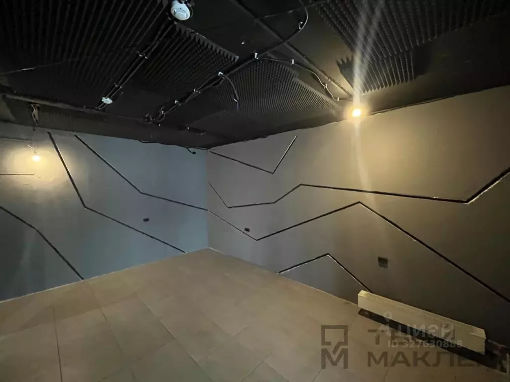 Торговая площадь в Пензенская область, Пензенский район, Засечный ... - Фото 2