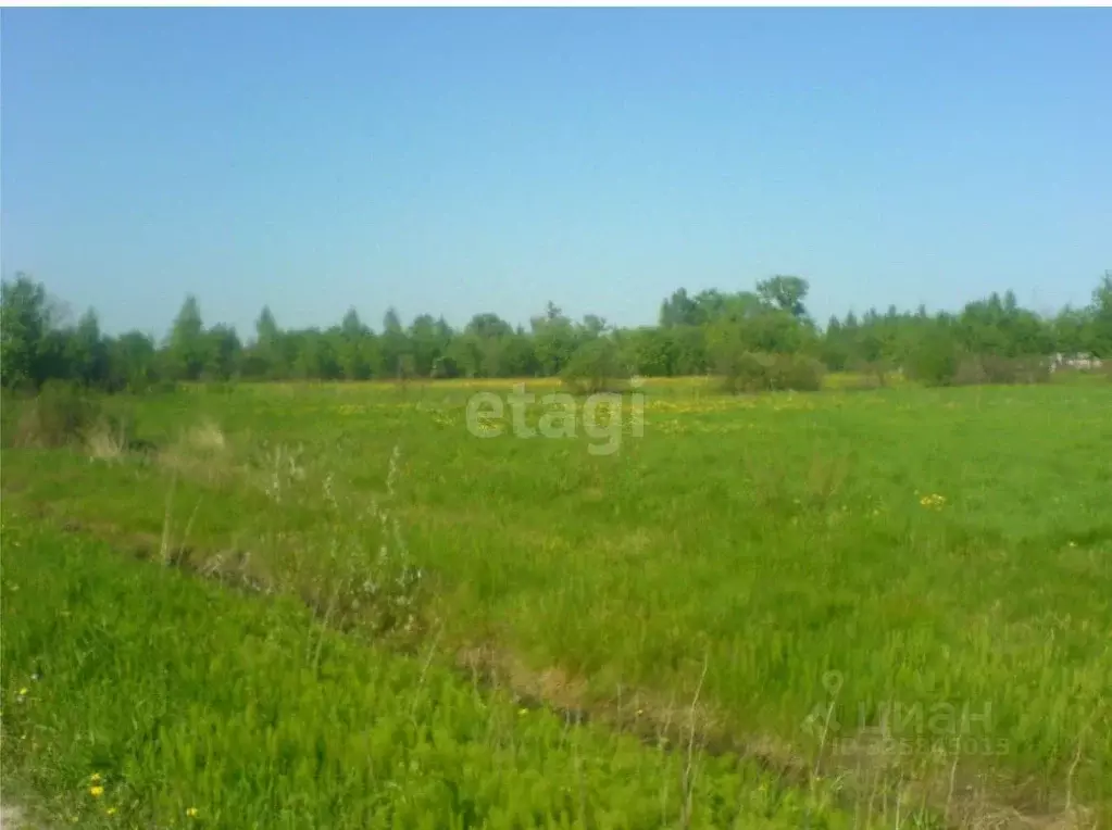 Участок в Ярославская область, Ярославский муниципальный округ, д. ... - Фото 1