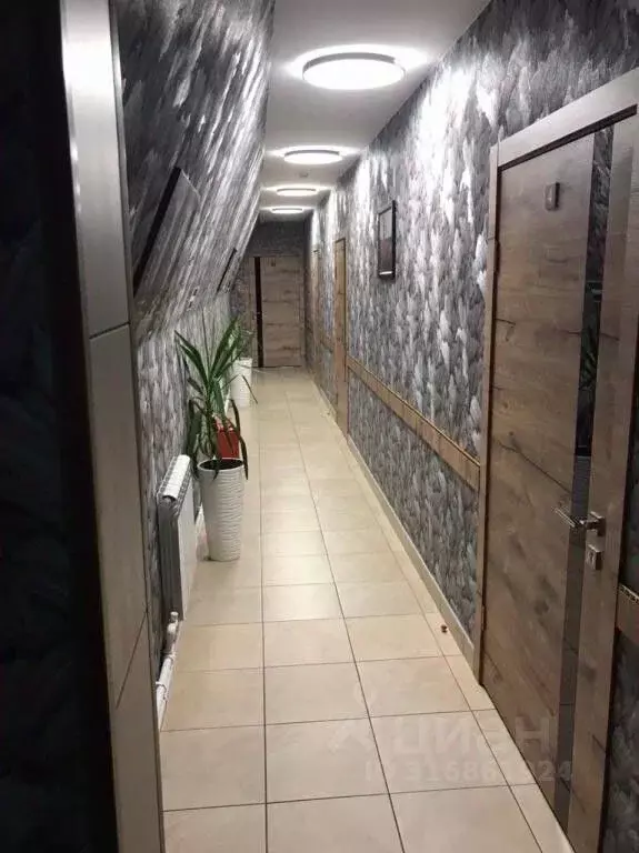 Комната Кемеровская область, Ленинск-Кузнецкий ул. Суворова, 215/4 ... - Фото 1
