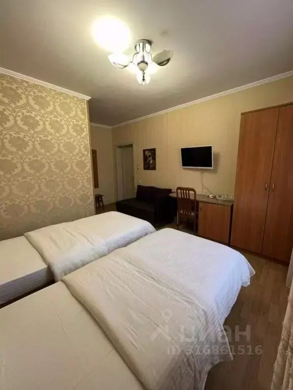 Комната Краснодарский край, Сириус пгт ул. Южных Культур, 2А (10.0 м) - Фото 0