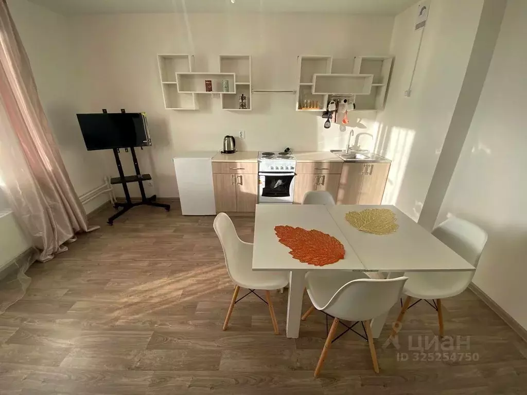 1-к кв. Челябинская область, Челябинский городской округ, пос. ... - Фото 1