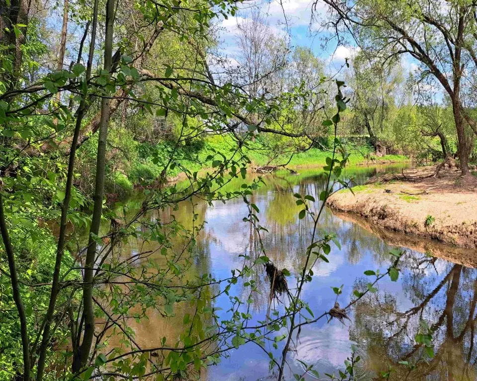 Участок в Московская область, Щелково городской округ, д. Сутоки, ... - Фото 0