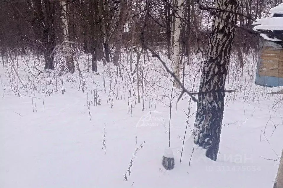 Участок в Москва д. Зименки, 14 (10.0 сот.) - Фото 2