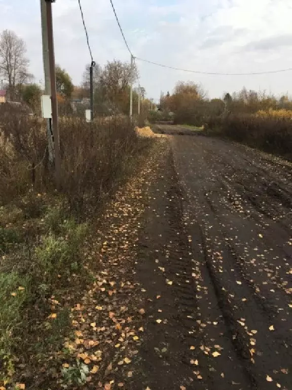 Клин решетниково на завтра. Решетниково Клин. Озеро Решетниково Клинский район. Решетниково люди. День поселка Решетниково.