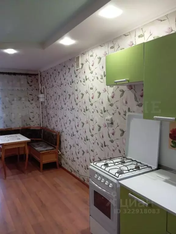 1-к кв. Новгородская область, Боровичский район, Прогресское с/пос, ... - Фото 1