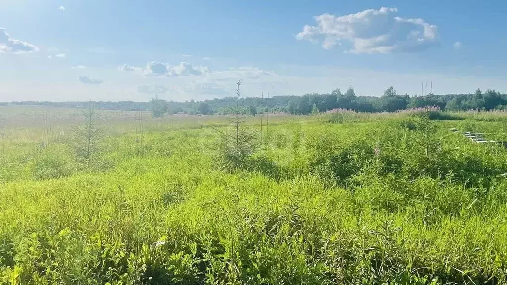 Участок в Вологодская область, с. Первомайское ул. Цветочная (10.0 ... - Фото 2