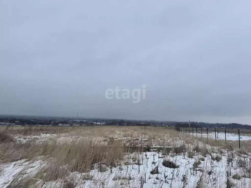 Участок в Курская область, Курский район, Новопоселеновский сельсовет, ... - Фото 1