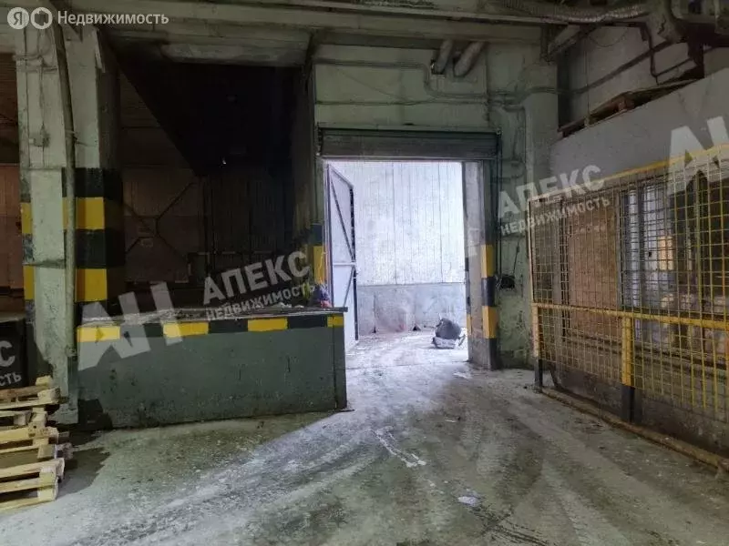 Помещение свободного назначения (725 м) - Фото 2