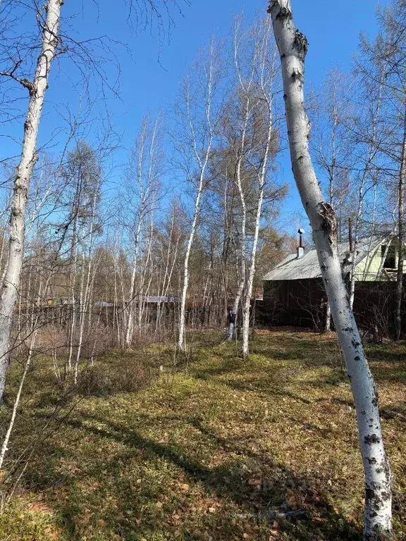 Участок в Саха (Якутия), Якутск городской округ, с. Маган  (6.0 сот.) - Фото 1