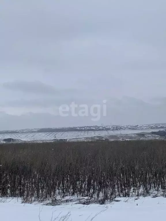 Участок в Белгородская область, Белгородский район, Головинское с/пос, ... - Фото 1