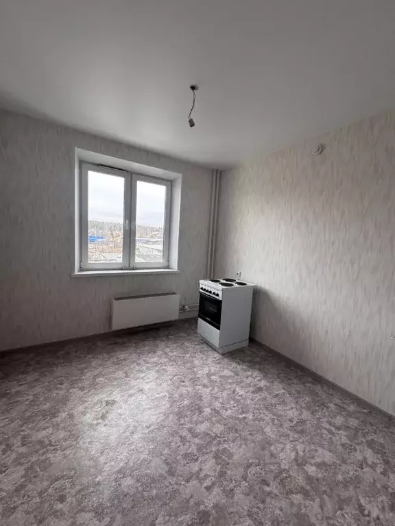 3-к кв. Челябинская область, Челябинск пос. Новосинеглазово, ... - Фото 1