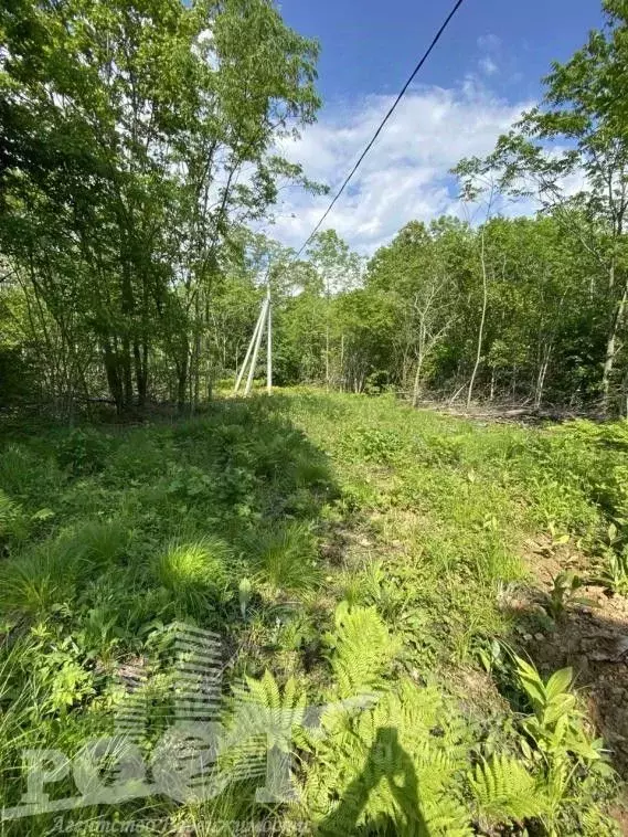 Участок в Приморский край, Артемовский городской округ, с. Ясное ул. ... - Фото 0