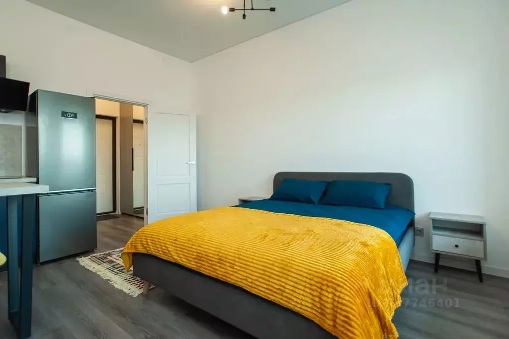 Студия Санкт-Петербург Светлановский просп., 14к1 (30.0 м) - Фото 1