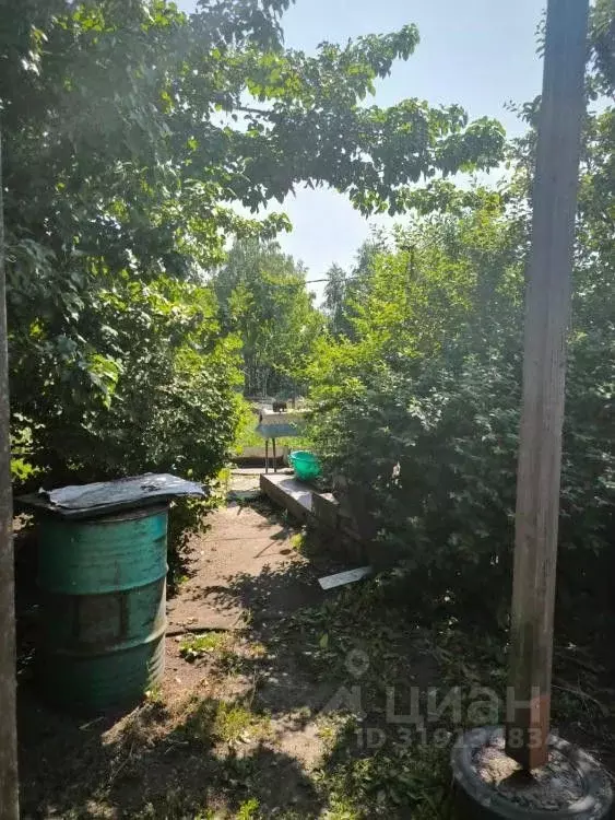 Дом в Хакасия, Абакан ул. Нахимова, 15 (65 м) - Фото 1