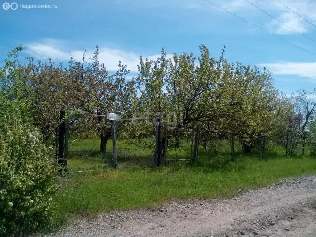 участок в таганрог, садовое товарищество ягодка (6.4 м) - Фото 1