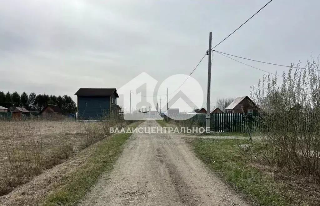 Участок в Новосибирская область, Колыванский район, Север ТСН 248 (8.0 ... - Фото 0