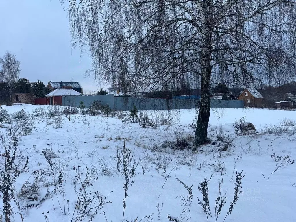 Участок в Московская область, Домодедово городской округ, д. Тургенево ... - Фото 1