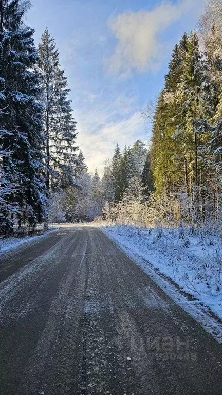 Участок, 13 сот., поселения (ижс) - Фото 2