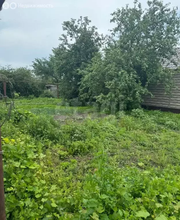Дом в Саратовская область, рабочий посёлок Романовка, улица Чапаева ... - Фото 1