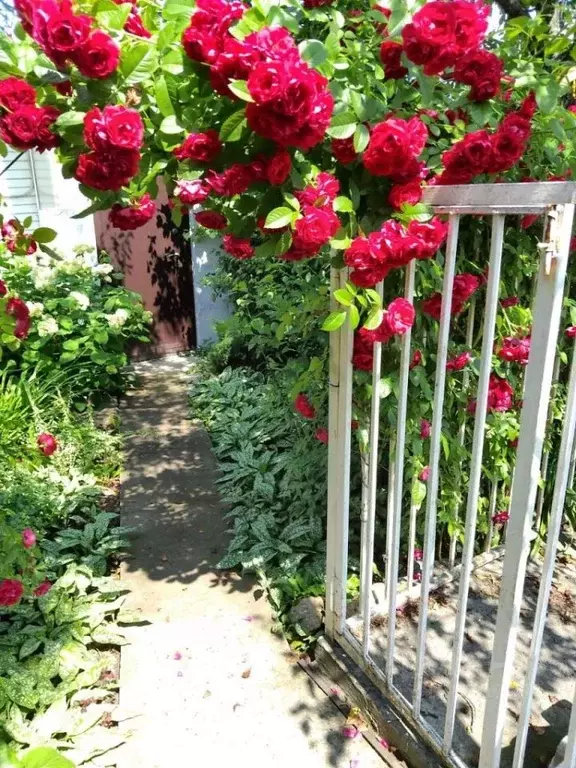 Дом в Нижегородская область, Нижний Новгород Гродненская ул., 5 (140 ... - Фото 0