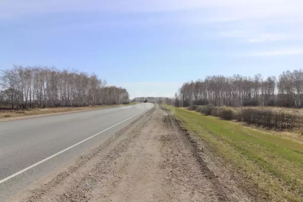 Участок в Омская область, Азовский Немецкий Национальный район, Кедр ... - Фото 1