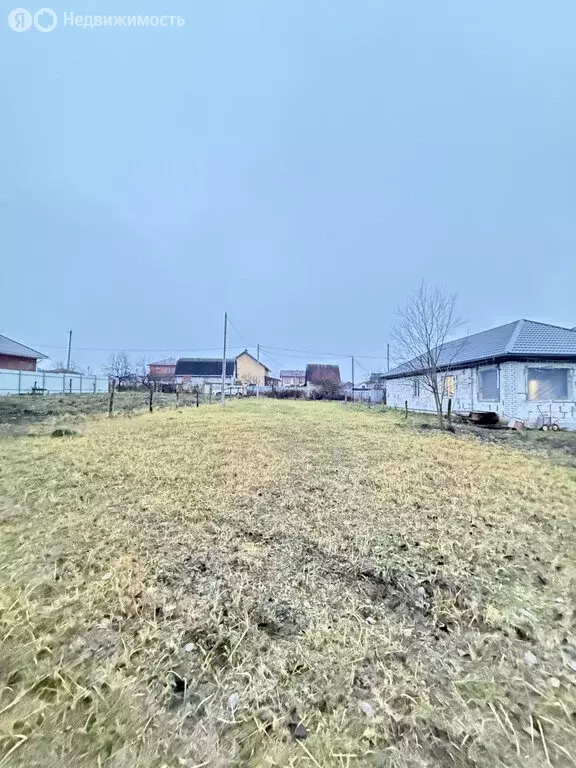 Участок в Толмачево, Берёзовая улица (615 м) - Фото 1