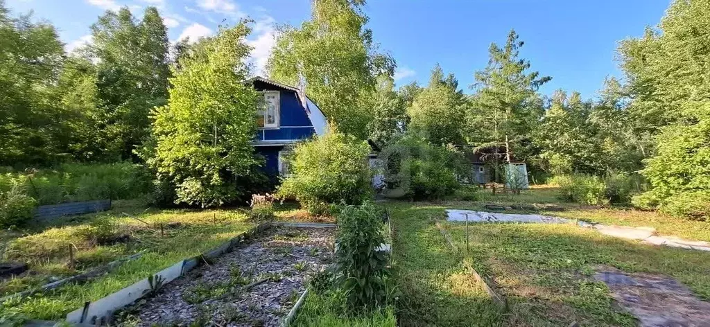 Дом в Хабаровский край, Хабаровский район, Судостроитель СТ ул. 4-я ... - Фото 2