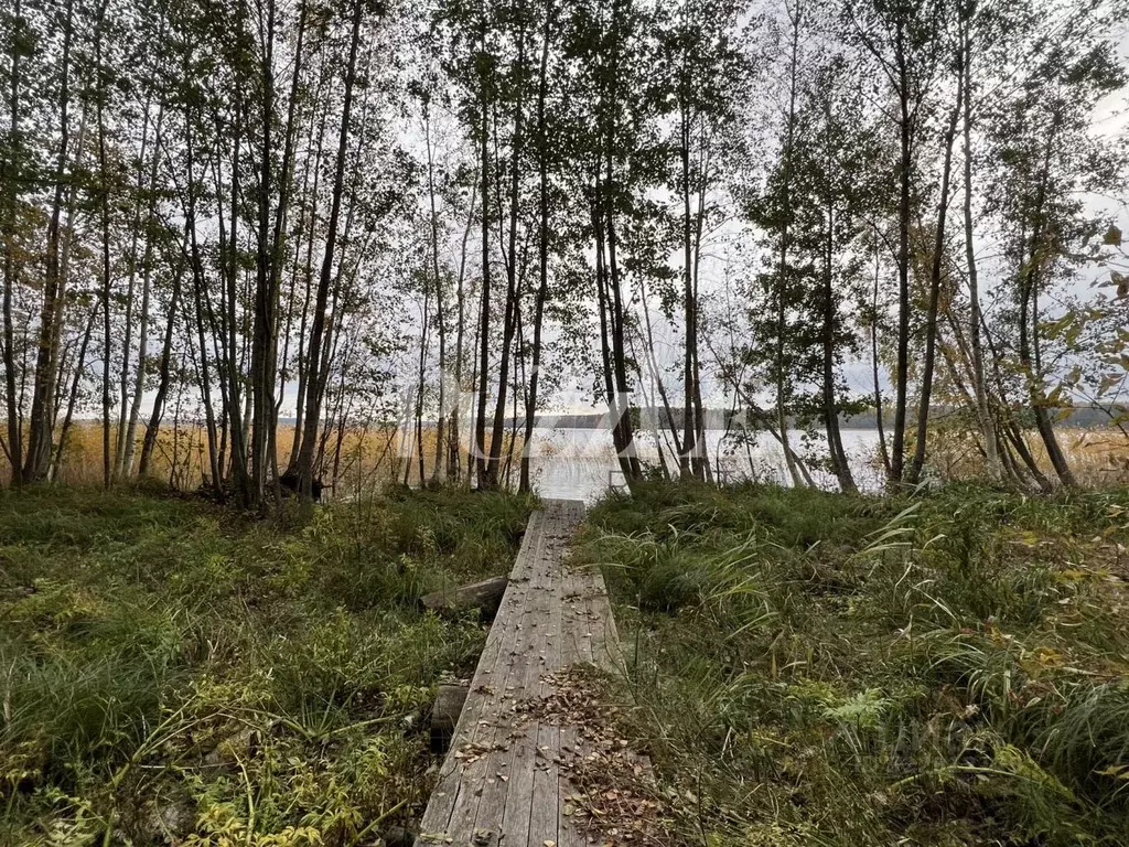 Участок в Ленинградская область, Приозерский район, Громовское с/пос, ... - Фото 2