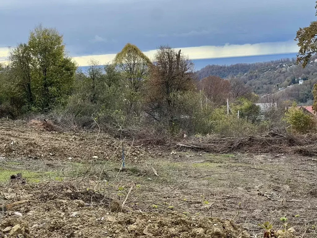 Участок в Краснодарский край, Сочи городской округ, с. Липники, ... - Фото 1