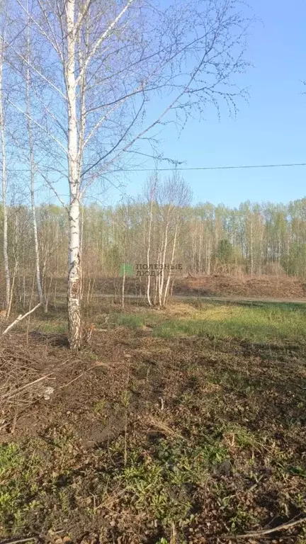 Участок в Башкортостан, Уфа Нижегородка жилрайон,  (8.0 сот.) - Фото 1