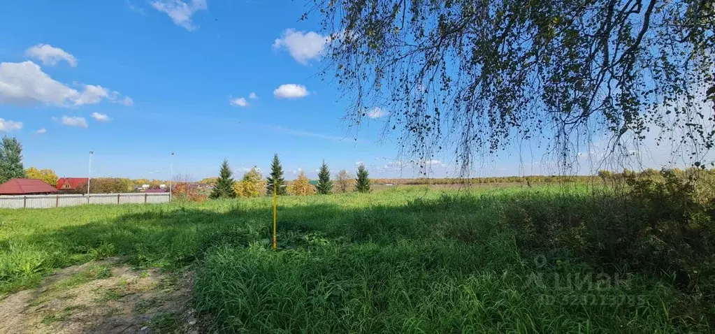 Участок в Томская область, Томский район, Зоркальцевское с/пос, с. ... - Фото 2