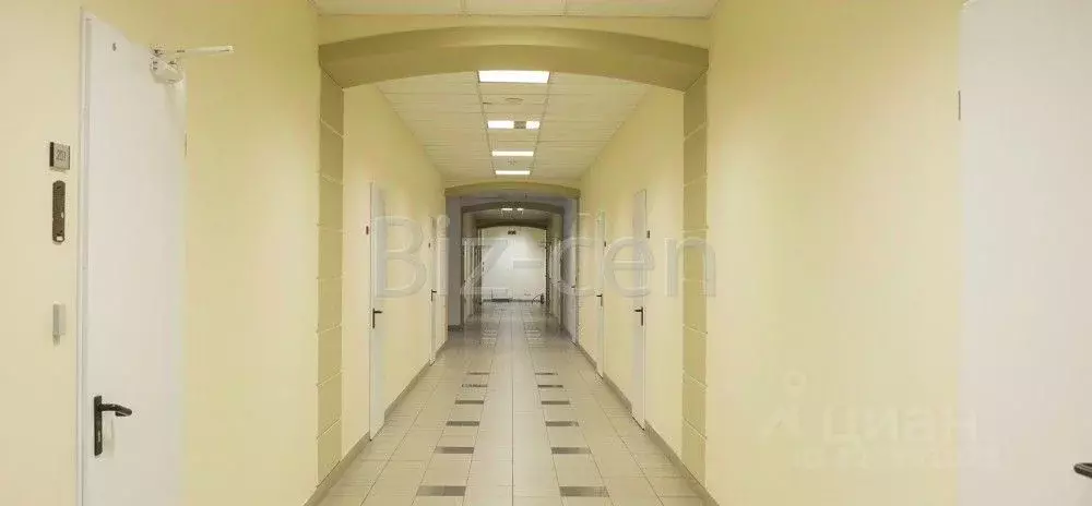 Офис в Санкт-Петербург ул. Чапаева, 5 (366 м) - Фото 0