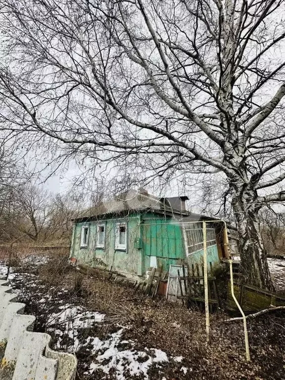 Дом в Белгородская область, Алексеевский муниципальный округ, ... - Фото 0