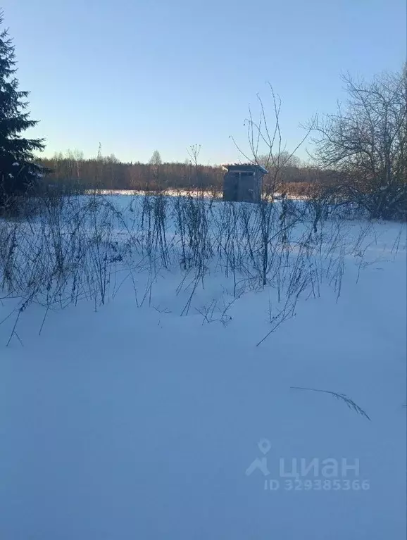 Участок в Псковская область, Опочецкий муниципальный округ, д. ... - Фото 1