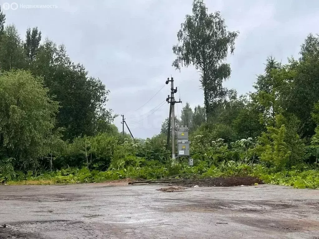 Участок в Калужская область, Износковский муниципальный округ, деревня ... - Фото 2